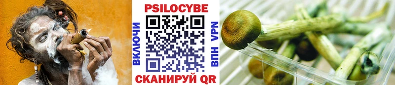 дарнет шоп mega ONION Галлюциногенные грибы ЛСД Краснослободск